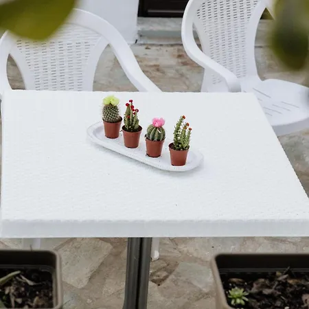 公寓 Pelion Mare Near The Sea *